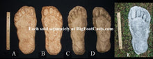 画像をギャラリービューアに読み込む, 1982 Grays Harbor "F"  Bigfoot print cast "F" Limited Edition