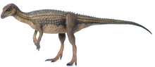 Cargar imagen en el visor de la galería, Discounted Heterodontosaurus skeleton cast replica