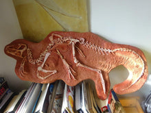 画像をギャラリービューアに読み込む, Discounted Heterodontosaurus skeleton cast replica