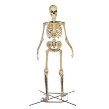 Load image into Gallery viewer, 12 ft Tall Skeleton Halloween Home Depot 12 foot tall Skeleton