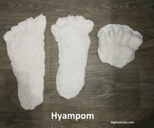 Load image into Gallery viewer, 1963 Hyampom Bigfoot (Sasquatch) footprint cast &quot;B&quot;