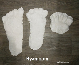 1963 Hyampom Bigfoot (Sasquatch) footprint cast "B"