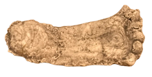Load image into Gallery viewer, 1990 Bigfoot Mount Rainier Mt. Rainier Track Cast footprint replica