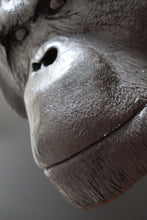 Laden Sie das Bild in den Galerie-Viewer, Male Orangutan Head (Life Cast) Bone Clones