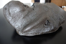 Laden Sie das Bild in den Galerie-Viewer, Male Orangutan Head (Life Cast) Bone Clones