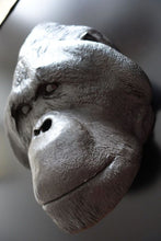 Laden Sie das Bild in den Galerie-Viewer, Male Orangutan Head (Life Cast) Bone Clones