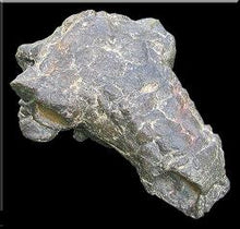 Cargar imagen en el visor de la galería, Pawpawsaurus skull cast plus shipping to France