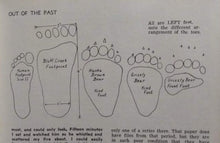Cargar imagen en el visor de la galería, Bear: Footprint Adult Black Bear Inverse Footprint cast replica