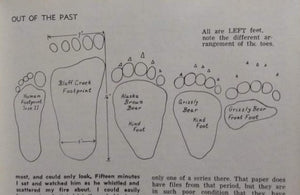 Bear: Footprint Adult Black Bear Inverse Footprint cast replica