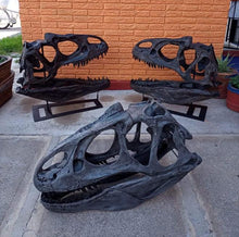 画像をギャラリービューアに読み込む, Allosaurus skull cast replica (no stand) Dinosaur