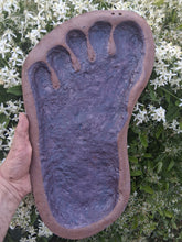 Cargar imagen en el visor de la galería, 1983 Bigfoot Grover Krantz LIMITED EDITION TRACK CAST Sasquatch footprint cast