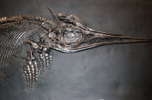 Cargar imagen en el visor de la galería, Replica Fossil Ichyosaurus skeleton cast 42 inches long replica (TMF ICHTY )