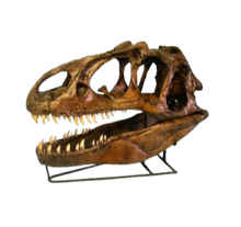 Load image into Gallery viewer, Allosaurus skull cast replica (no stand) Dinosaur