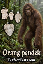 Load image into Gallery viewer, 2013 Orang Pendek #2 footprint cast replica #2