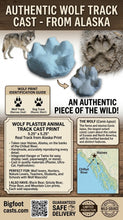 画像をギャラリービューアに読み込む, Wolf: Alaska Wolf Footprint Cast Replica