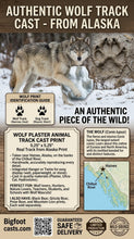 画像をギャラリービューアに読み込む, Wolf: Alaska Wolf Footprint Cast Replica