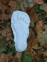 Load image into Gallery viewer, 1982 Grays Harbor Heryford Bigfoot print cast "E"