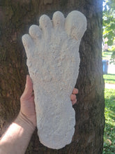 Load image into Gallery viewer, 2015 Stomping Ground Bigfoot Foot cast
