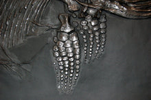 Cargar imagen en el visor de la galería, Replica Fossil Ichyosaurus skeleton cast 42 inches long replica (TMF ICHTY )