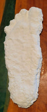 Charger l'image dans la galerie, 2008 Bigfoot print cast from Yosemite National Park 2008 Yosemite Bigfoot cast replica
