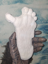 Load image into Gallery viewer, 1962 Bigfoot Loren Coleman Decatur Illinois Sasquatch track cast replica