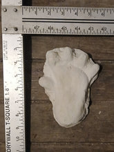 Laden Sie das Bild in den Galerie-Viewer, Orang Pendek Footprint Set of Casts (Prints #1 - 4