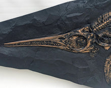 Laden Sie das Bild in den Galerie-Viewer, Ichyosaurus skeleton cast 57 inches long replica (TMF ICHTY 57")