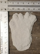 Laden Sie das Bild in den Galerie-Viewer, Orang Pendek Footprint Set of Casts (Prints #1 - 4