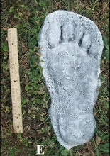 Load image into Gallery viewer, 1982 Grays Harbor Heryford Bigfoot print cast "E"