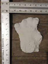 Laden Sie das Bild in den Galerie-Viewer, Orang Pendek Footprint Set of Casts (Prints #1 - 4