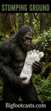 Load image into Gallery viewer, 2015 Stomping Ground Bigfoot Foot cast