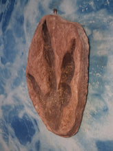 Load image into Gallery viewer, Dinosaur Large Footprint Track Cast Replica Carnosaur Jurassic Virginia replica Theropod Grallator