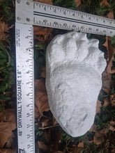 Load image into Gallery viewer, Bear: Black Bear Footprint Track Paw Print Alaska #2 Plaster