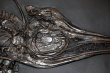 Cargar imagen en el visor de la galería, Replica Fossil Ichyosaurus skeleton cast 42 inches long replica (TMF ICHTY )