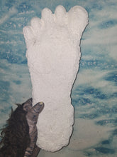 Load image into Gallery viewer, 2015 Stomping Ground Bigfoot Foot cast