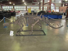 Load image into Gallery viewer, Dinosaur rental package #2026