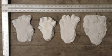 Laden Sie das Bild in den Galerie-Viewer, Orang Pendek Footprint Set of Casts (Prints #1 - 4