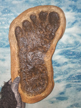 Cargar imagen en el visor de la galería, 1983 Bigfoot Grover Krantz LIMITED EDITION TRACK CAST Sasquatch footprint cast