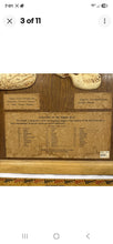 Load image into Gallery viewer, Antique Ward’s Girard Natural Science – “Evolution of the Human Skull” Anatomical Model