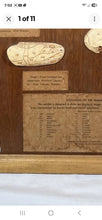Load image into Gallery viewer, Antique Ward’s Girard Natural Science – “Evolution of the Human Skull” Anatomical Model
