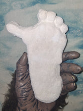 Load image into Gallery viewer, 1962 Bigfoot Loren Coleman Decatur Illinois Sasquatch track cast replica