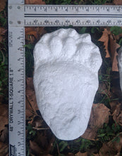 Load image into Gallery viewer, Bear: Black Bear Footprint Track Paw Print Alaska #2 Plaster