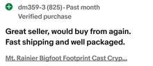 Load image into Gallery viewer, 1990 Bigfoot Mount Rainier Mt. Rainier Track Cast footprint replica
