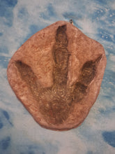 Load image into Gallery viewer, Dinosaur Large Footprint Track Cast Replica Carnosaur Jurassic Virginia replica Theropod Grallator