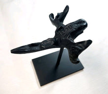 Load image into Gallery viewer, Human Male Australian Aboriginal Skull Painted
BC-031P Bone Clones (2026)