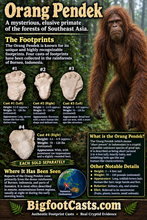 Load image into Gallery viewer, 2013 Orang Pendek #2 footprint cast replica #2