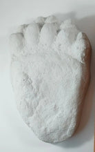 Load image into Gallery viewer, Bear: Black Bear Footprint Track Paw Print Alaska #2 Plaster