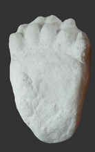 Load image into Gallery viewer, Bear: Black Bear Footprint Track Paw Print Alaska #2 Plaster