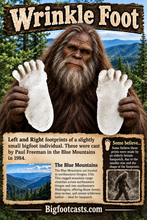 Load image into Gallery viewer, 1984 Paul Freeman's "Wrinkle Foot" casts "A" and  "B" Bigfoot Sasquatch footprint track cast replicas