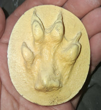 Load image into Gallery viewer, Fox; Red Fox footprint track cast replica